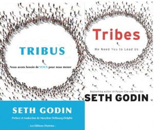 Tribes: We Need You to Lead Us: Seth Godin - amazoncom